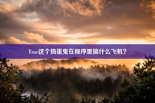 True这个捣蛋鬼在程序里搞什么飞机？