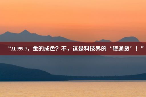 “AU999.9，金的成色？不，这是科技界的‘硬通货’！”