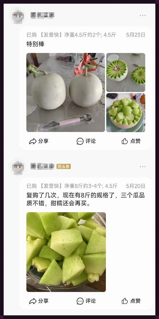 “菌子界揭秘！崛起之星的诡异瓜葛”