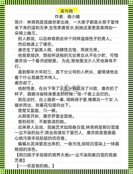 高宠1v1，林殊词盛宇：科技圈的宠儿，网友直呼离谱！