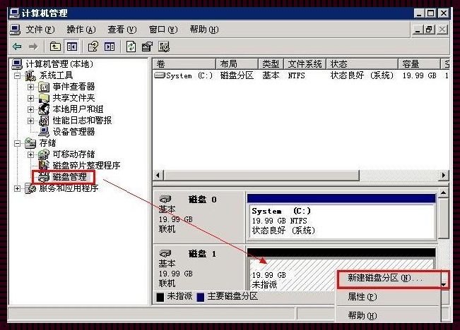 小学生VPSWINDOWS传奇：笑谈科技江湖的童言无忌