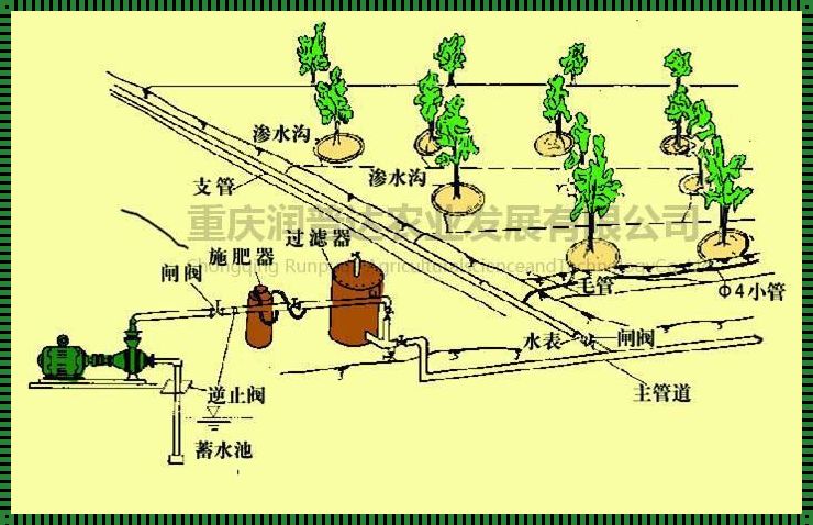 “唐宁RB灌溉，浇灌思维之花，突破脑洞极限”