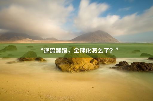 “逆流翻滚，全球化怎么了？”