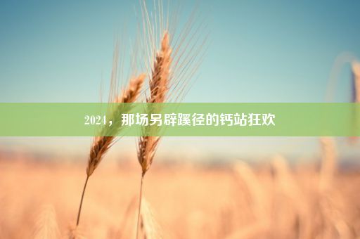 2024，那场另辟蹊径的钙站狂欢