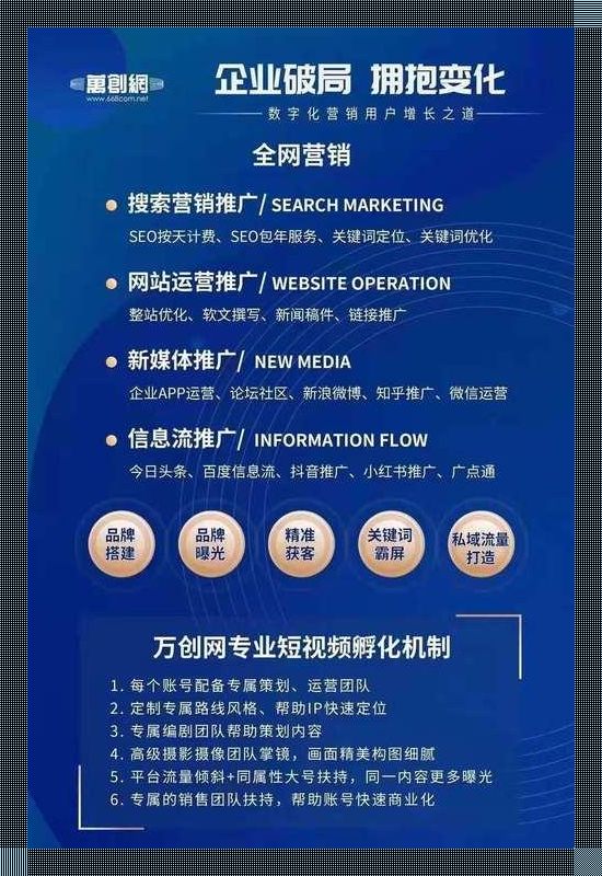 “SEO界的潮流新宠，短视频网页入口营销攻略解析”