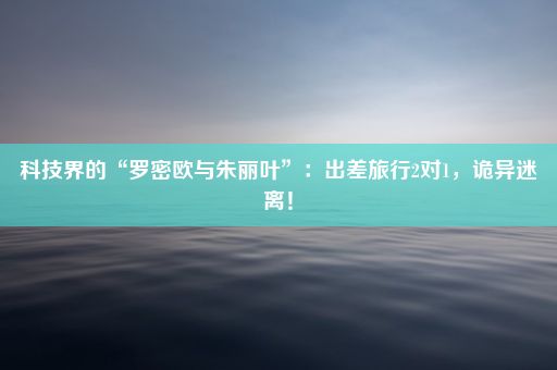 科技界的“罗密欧与朱丽叶”：出差旅行2对1，诡异迷离！