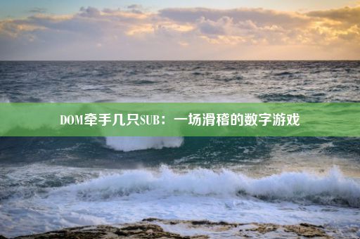 DOM牵手几只SUB：一场滑稽的数字游戏