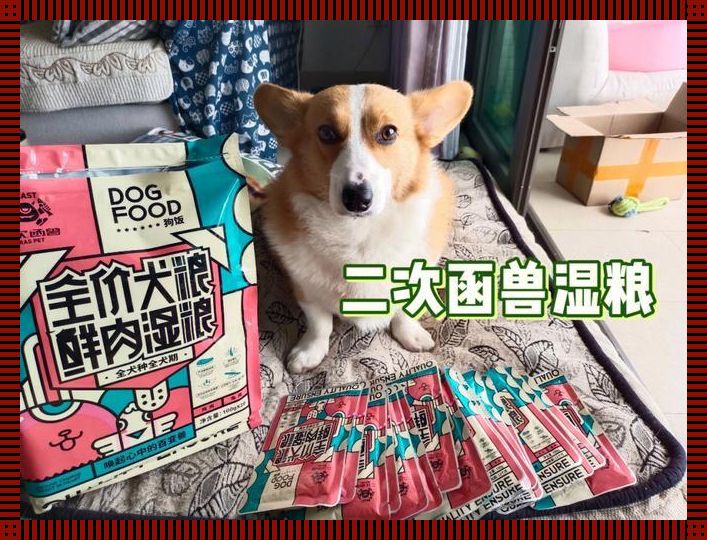 “ZOOMSERVO兽狗”来袭，掀起科技狂潮，笑看江湖风云