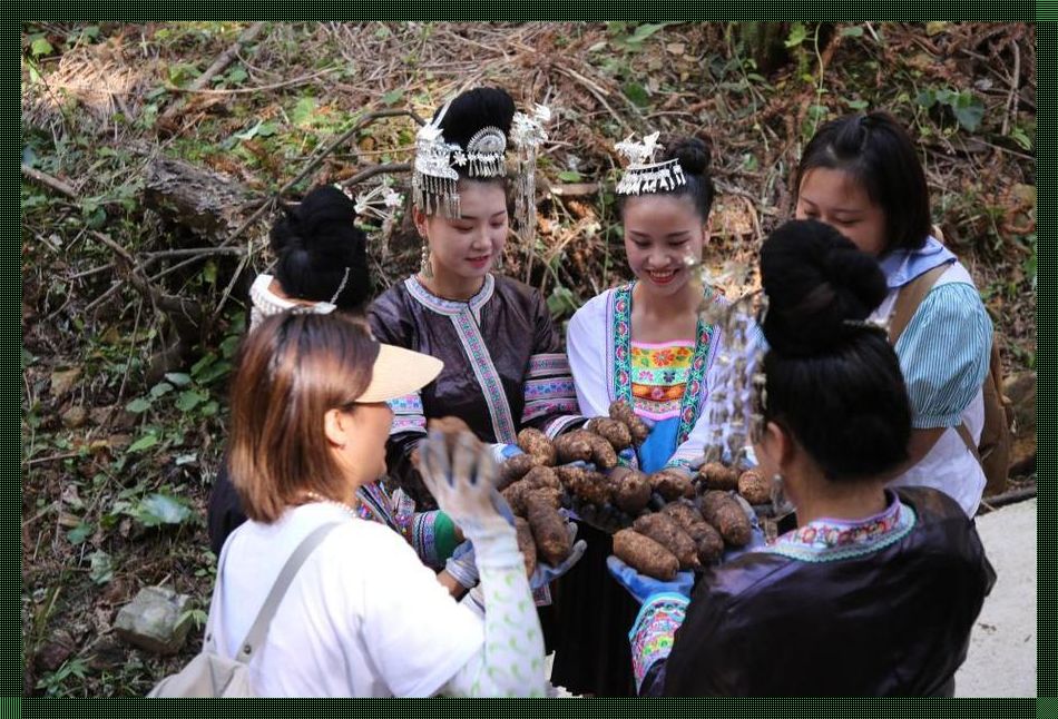 “张婉莹，儿童科技新锐的鸟巢里飞出的雏鹰”