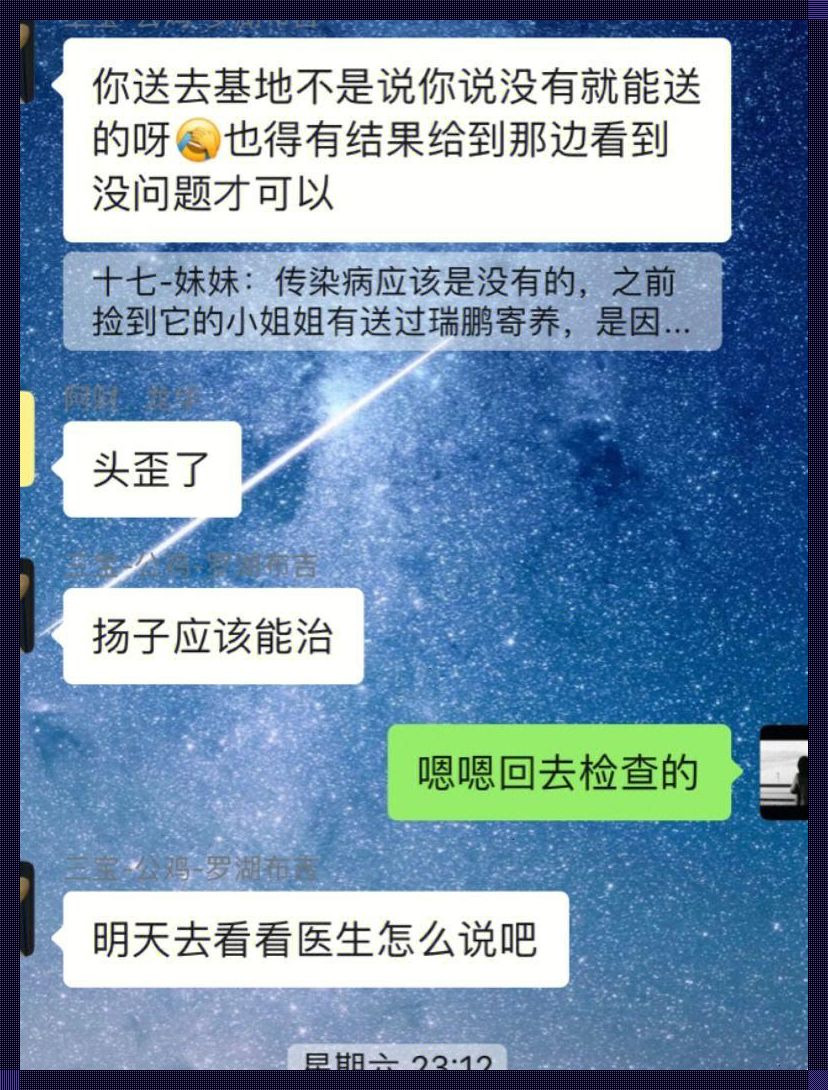 哎呦，‘叔’这科技潮人，病了？扫描完毕，‘新星’崛起！