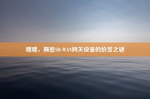 嘿嘿，揭密SD-WAN网关设备的价签之谜