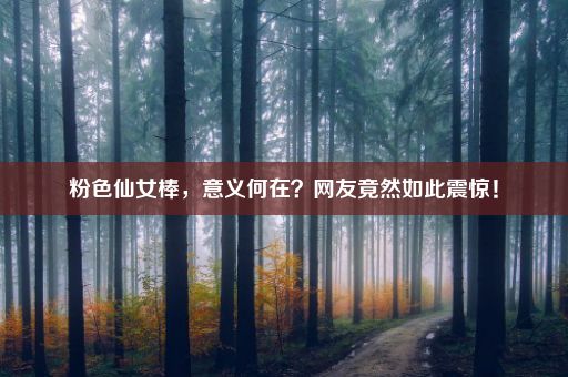 粉色仙女棒，意义何在？网友竟然如此震惊！