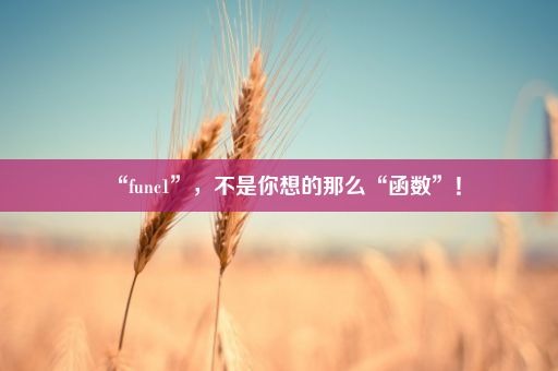 “func1”，不是你想的那么“函数”！