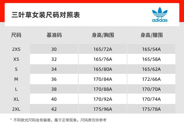 "三叶草L码，创新领域的神秘舞者"