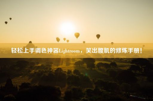 轻松上手调色神器Lightroom，笑出腹肌的修炼手册！