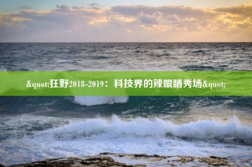 "狂野2018-2019：科技界的辣眼睛秀场"