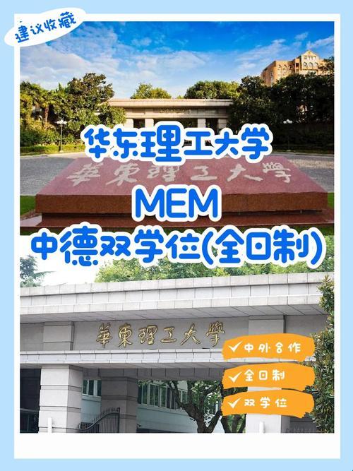 “华理MEM双学位，落幕！哦不，是‘没幕’！”