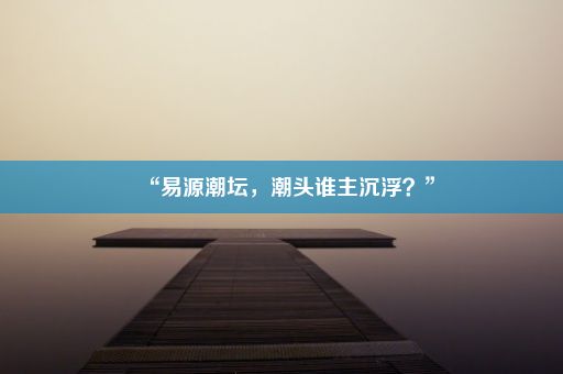 “易源潮坛，潮头谁主沉浮？”