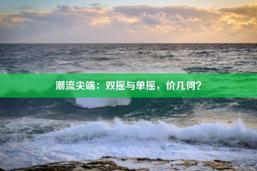 潮流尖端：双摇与单摇，价几何？