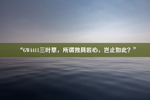 “GW4411三叶草，所谓独具匠心，岂止如此？”