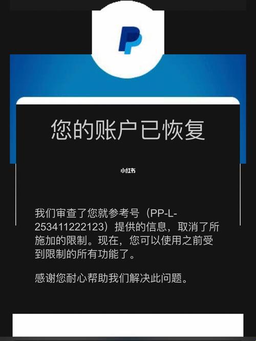 "未成年遭遇PayPal封禁：笑谈崛起的