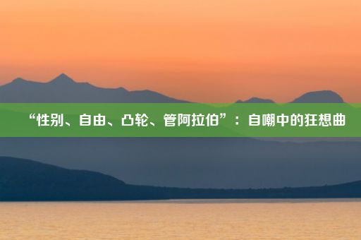 “性别、自由、凸轮、管阿拉伯”：自嘲中的狂想曲