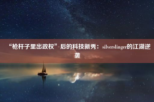 “枪杆子里出政权”后的科技新秀：silverslinger的江湖逆袭