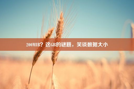 200MIB？这GB的谜题，笑谈数据大小