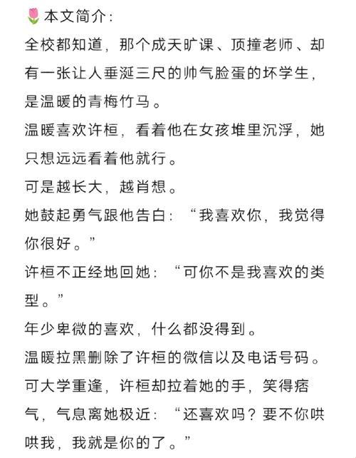 "1vs2，偏爱极致？笑谈科技圈的另类对决"