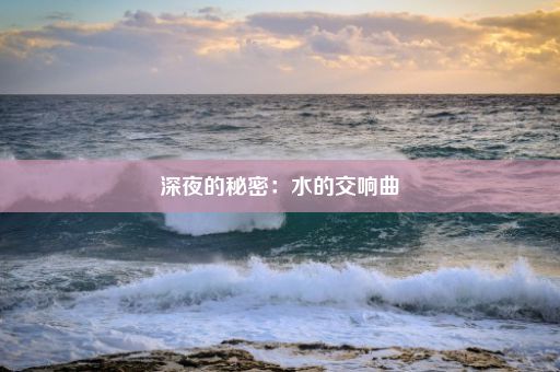 深夜的秘密：水的交响曲