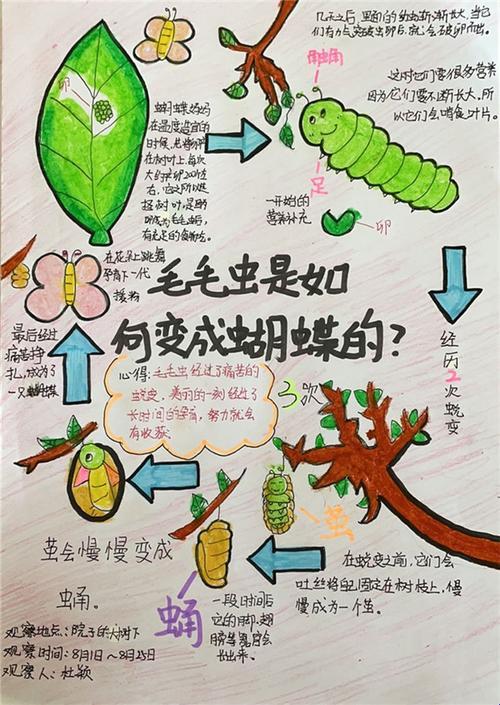 “成长的秘密”：毛毛葆葆观察记录，科技界的新风潮