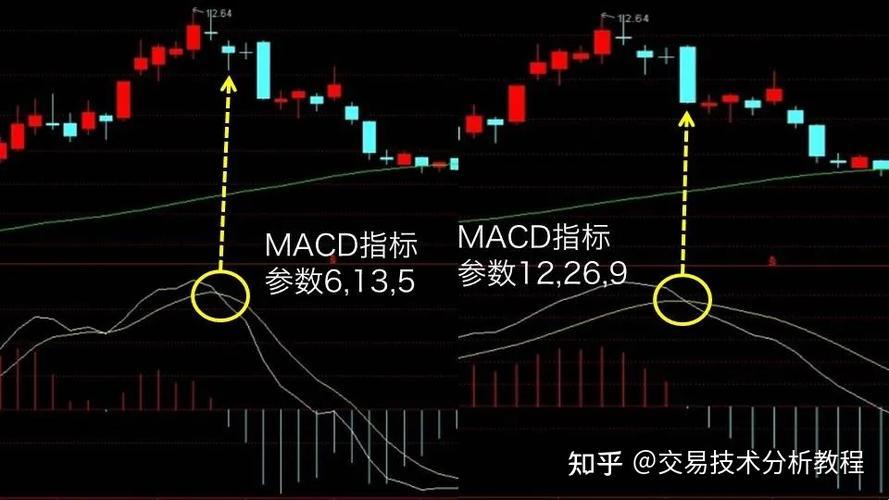 “MACD绝技：网民热议背后的奥秘”