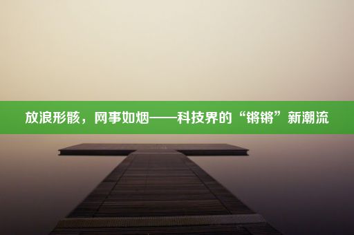 放浪形骸，网事如烟——科技界的“锵锵”新潮流