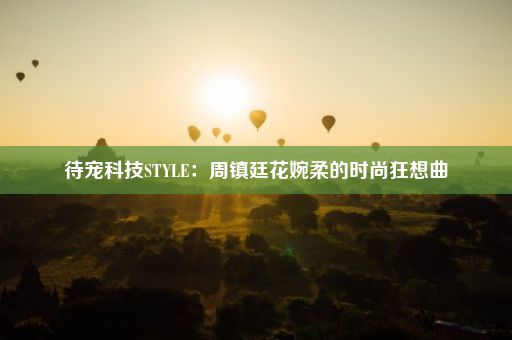 待宠科技STYLE：周镇廷花婉柔的时尚狂想曲