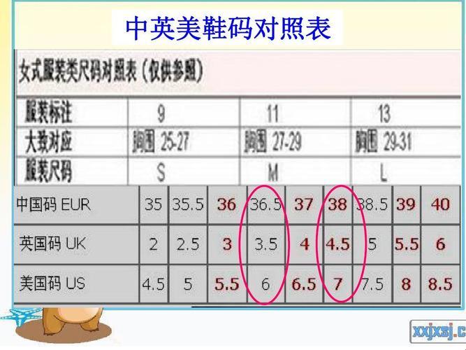 崛起！四叶草M码对阵欧洲码，谁主沉浮？