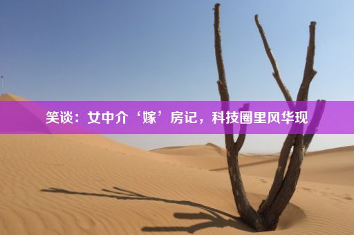 笑谈：女中介‘嫁’房记，科技圈里风华现