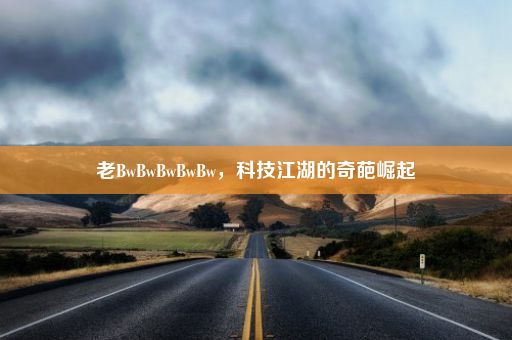 老BwBwBwBwBw，科技江湖的奇葩崛起