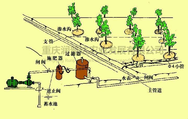 “优精灌园”潮流秀：笑谈科技新花样