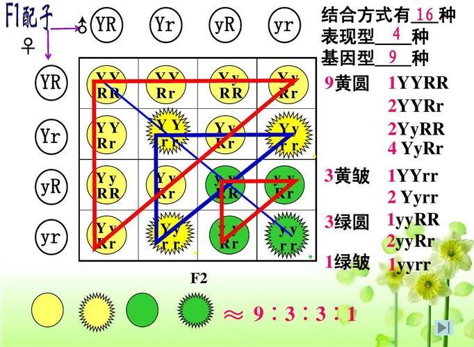 "9捅1挖，左右开弓，图文解码：创新界的泥石流"