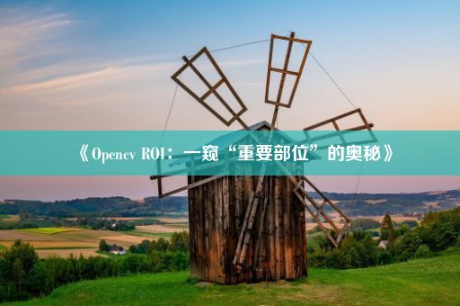 《Opencv ROI：一窥“重要部位”的奥秘》