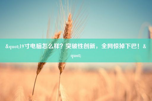 "19寸电脑怎么样？突破性创新，全网惊掉下巴！"