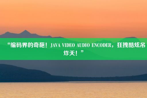 “编码界的奇葩！JAVA VIDEO AUDIO ENCODER，狂拽酷炫吊炸天！”