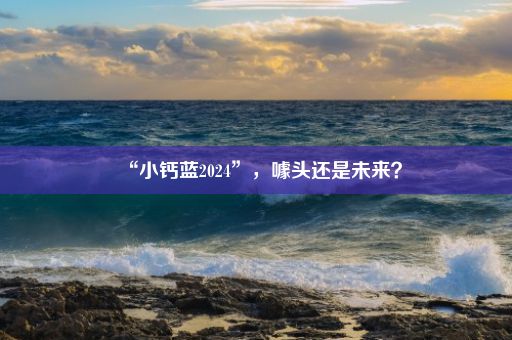 “小钙蓝2024”，噱头还是未来？