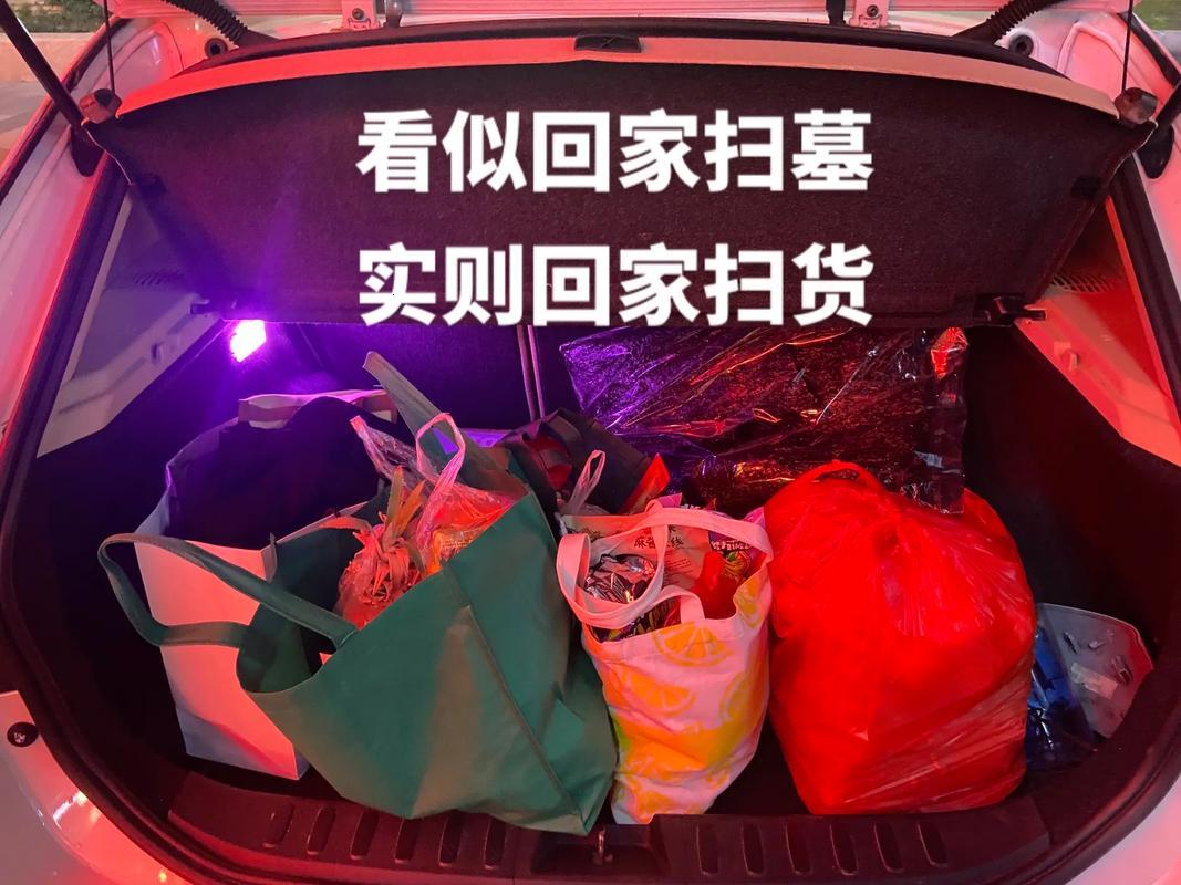 “小扫货水能么多叫出来公交车”奇幻之旅：创新时代下的荒诞喜剧