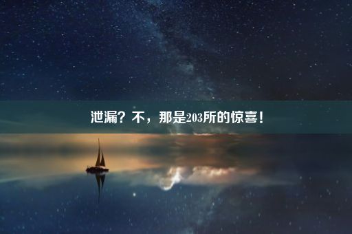 泄漏？不，那是203所的惊喜！