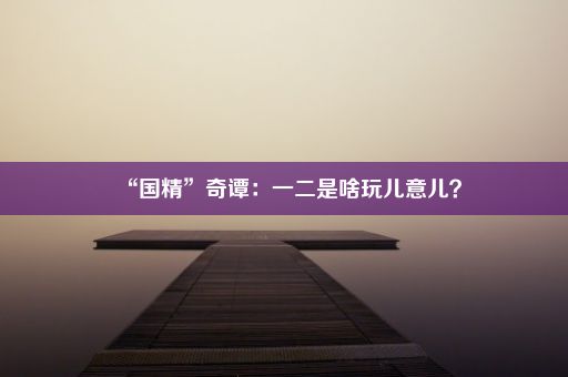 “国精”奇谭：一二是啥玩儿意儿？