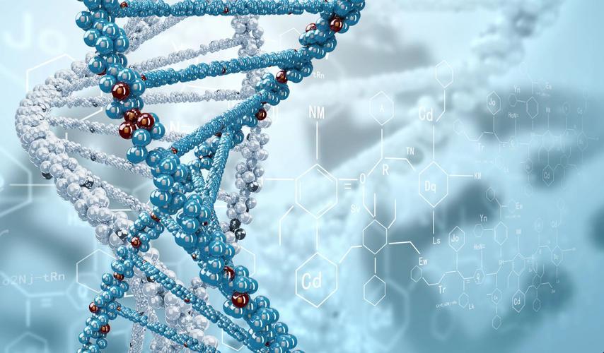 妙哉！动物DNA混血人类DNA，崛起新星笑掉大牙