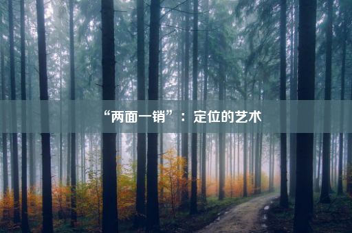 “两面一销”：定位的艺术