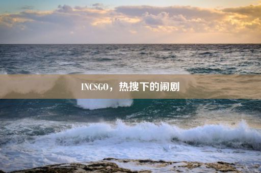 INCSGO，热搜下的闹剧