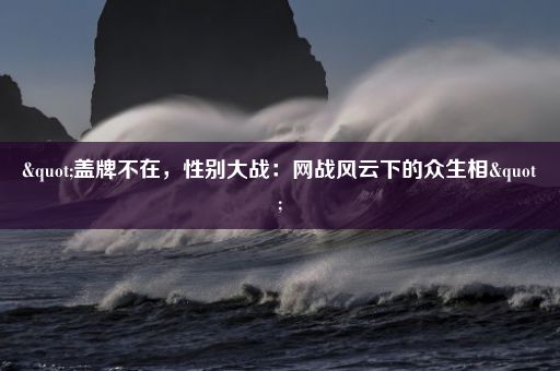 "盖牌不在，性别大战：网战风云下的众生相"